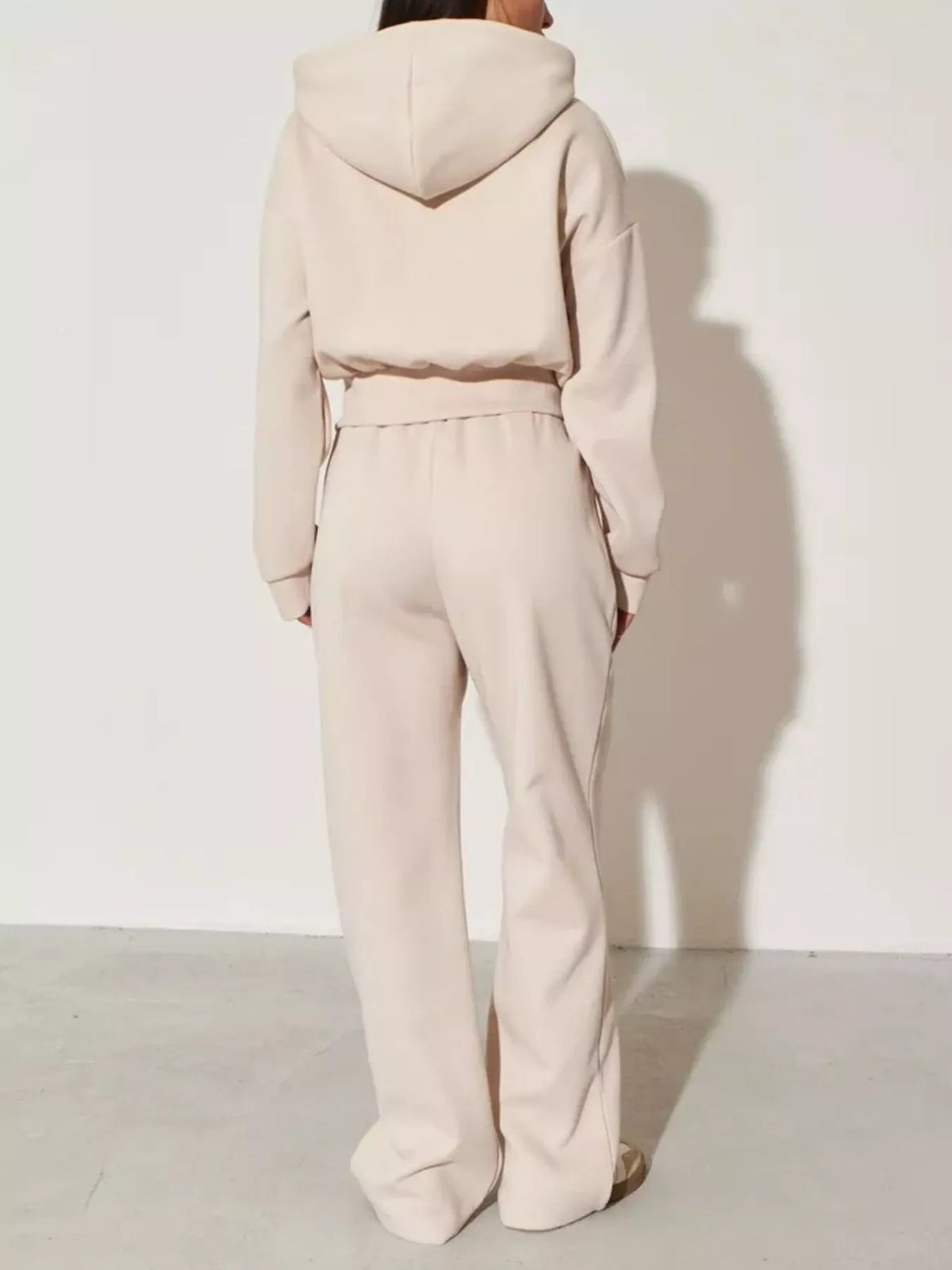 Plush Fashion Hub zip-up hoodie and wide-leg pants loungewear set, shown in soft fabric with relaxed fit and casual style.