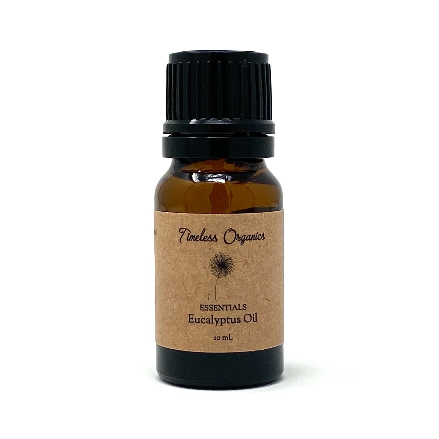 Eucalyptus Plush Fashion Hub