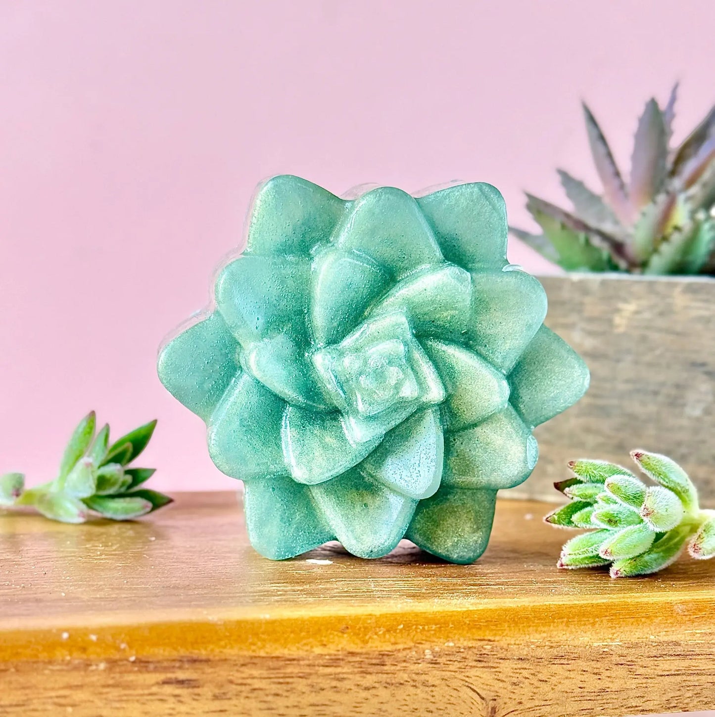 🌿 Evergreen Succulent – Vetiver & Bergamot UnTamed Naturals