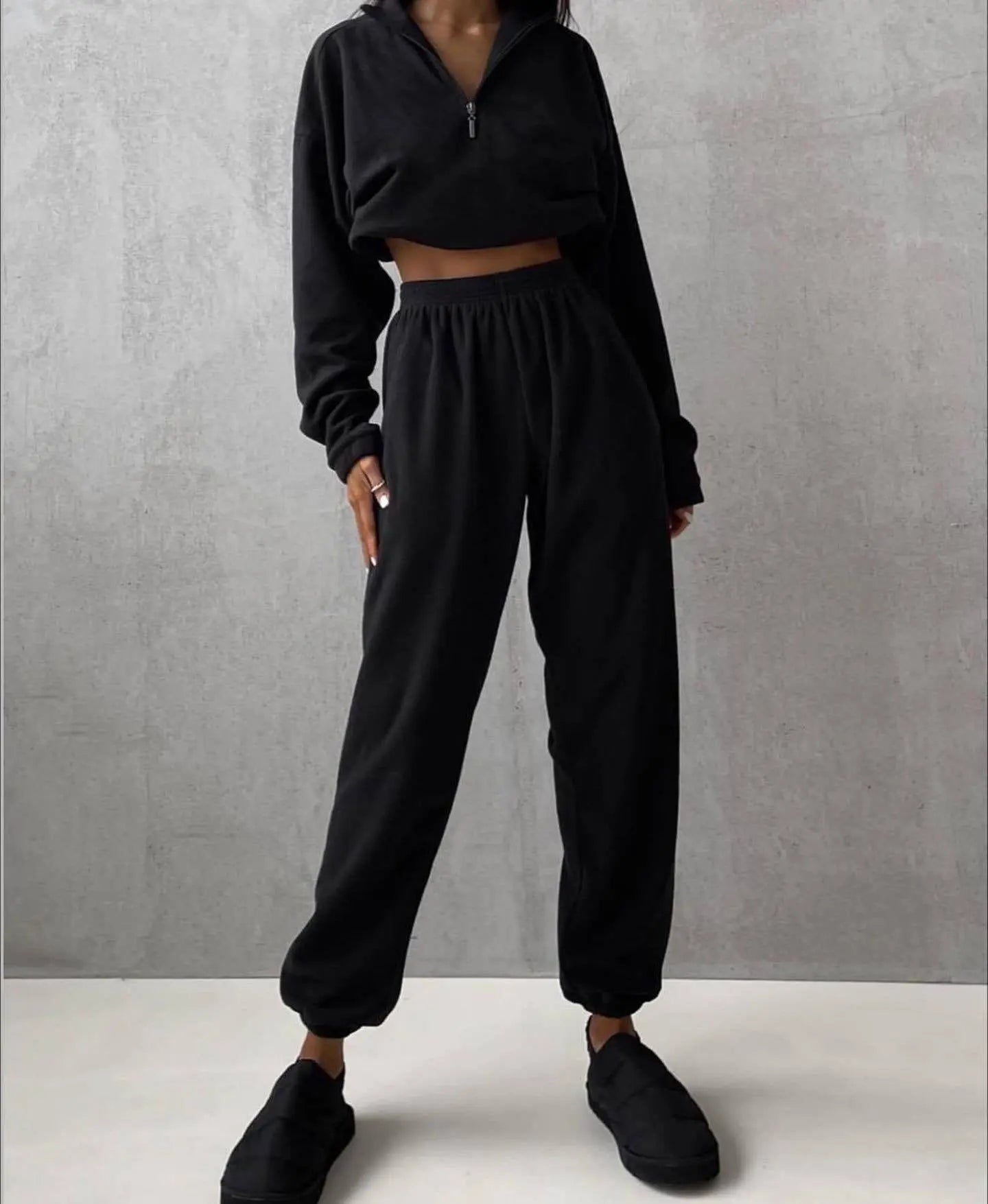 Fashion High Collar Leisure Fleece Sweater Suit - Plush Fashion Hub