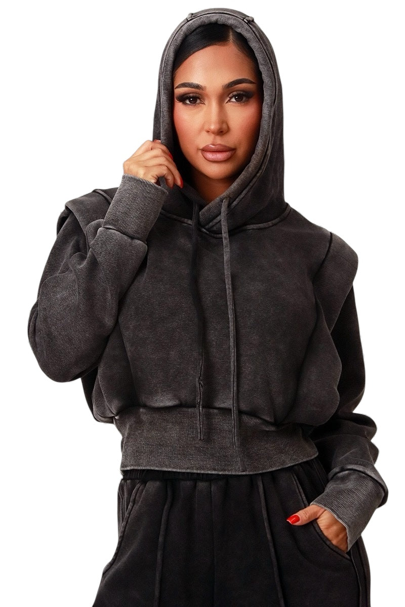 Plush Fashion Hub crop hoodie and wide-leg sweat suit set, stylish 2-piece loungewear ensemble with comfortable fabric and relaxed fit.