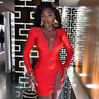 Plush Fashion Hub women's long sleeve spring autumn dress, tight fit, stylish, sexy, suitable for night shows and fashionable occasions.