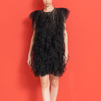 See-through organza sleeveless dress with irregular asymmetric ruffled stitching, designed for women by Plush Fashion Hub.