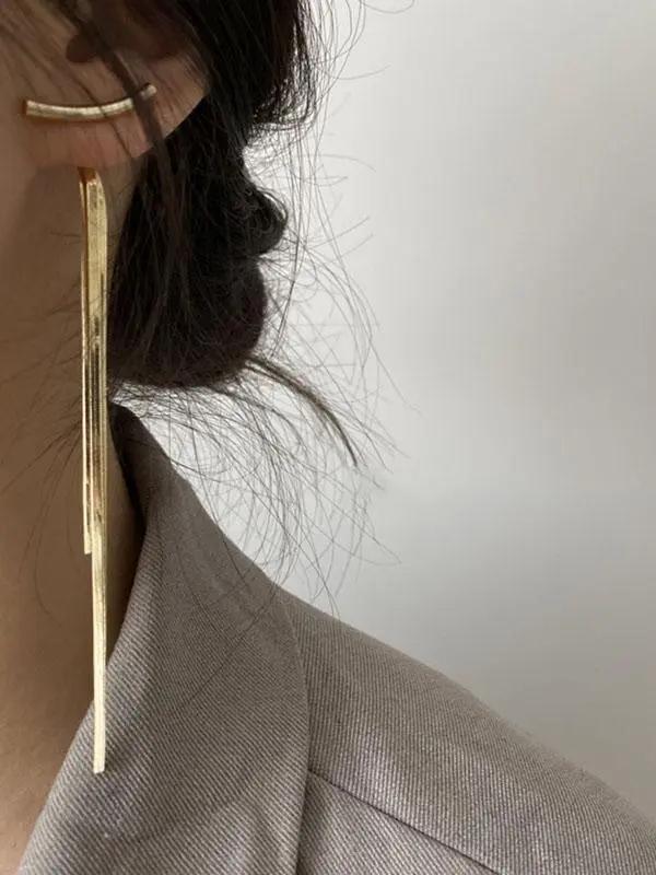 Original Solid Tasseled Shiny Eardrop Plush Fashion Hub