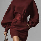 Women’s brown bodycon mini dress by FitiqueFit with boat neck and long sleeves, casualwear style, shown on a model.